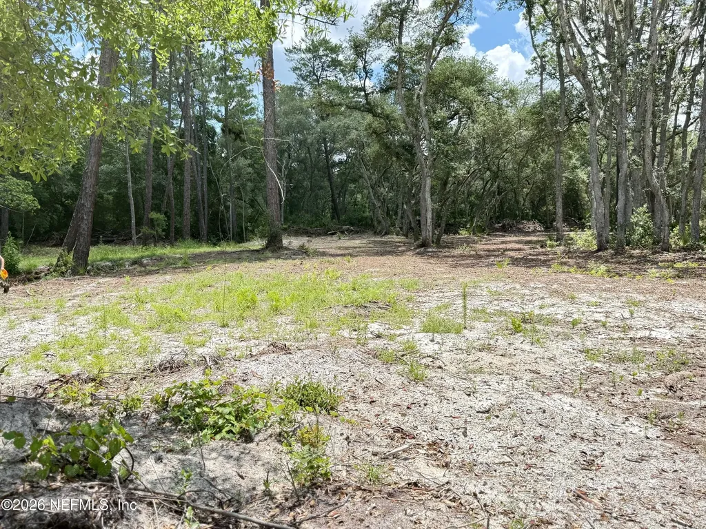 438 Chamberlain Road Satsuma FL 32189