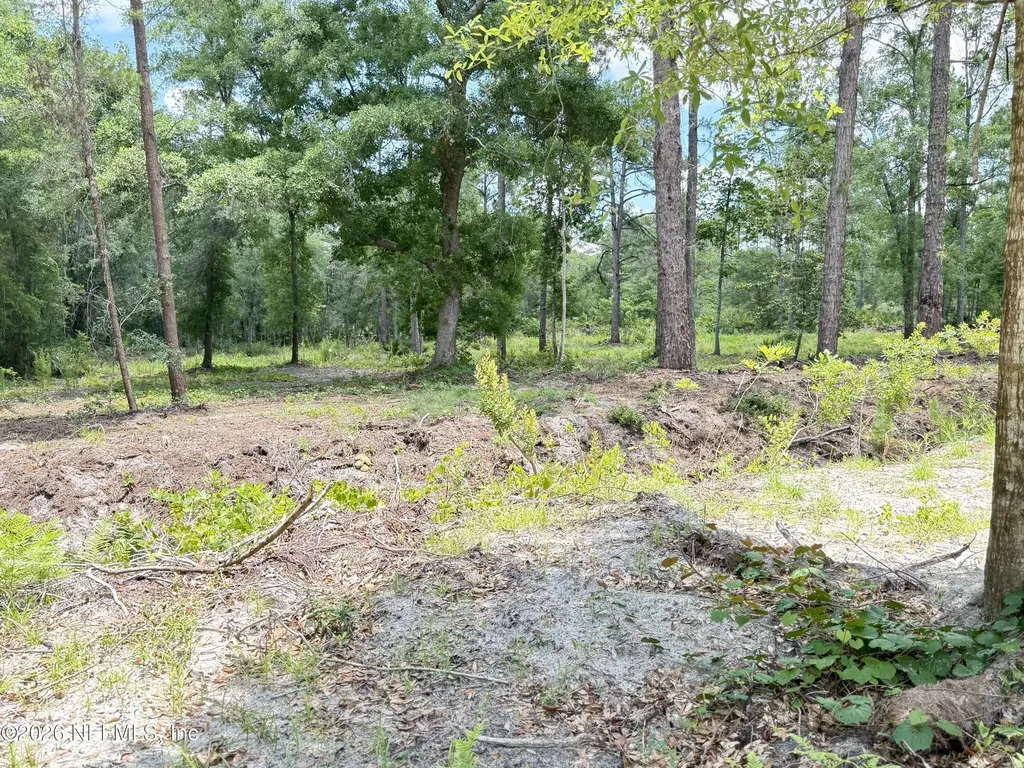 438 Chamberlain Road Satsuma FL 32189