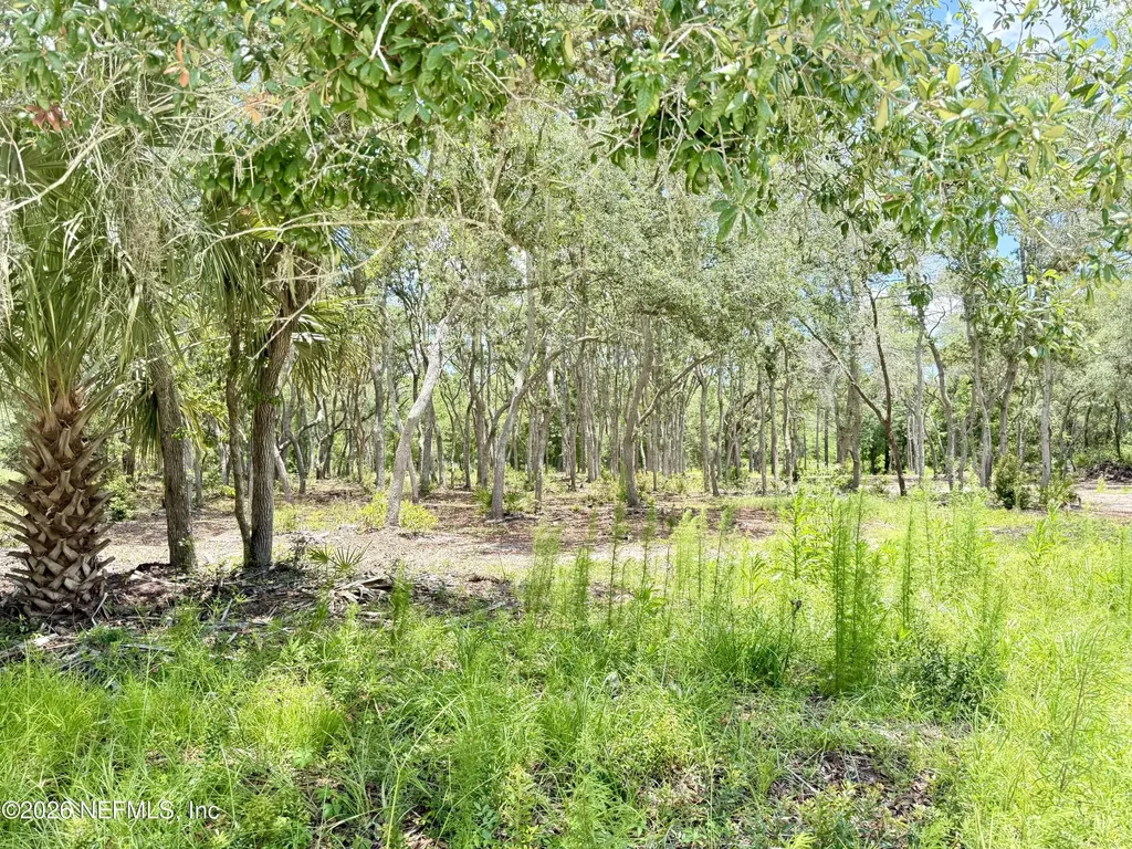 438 Chamberlain Road Satsuma FL 32189