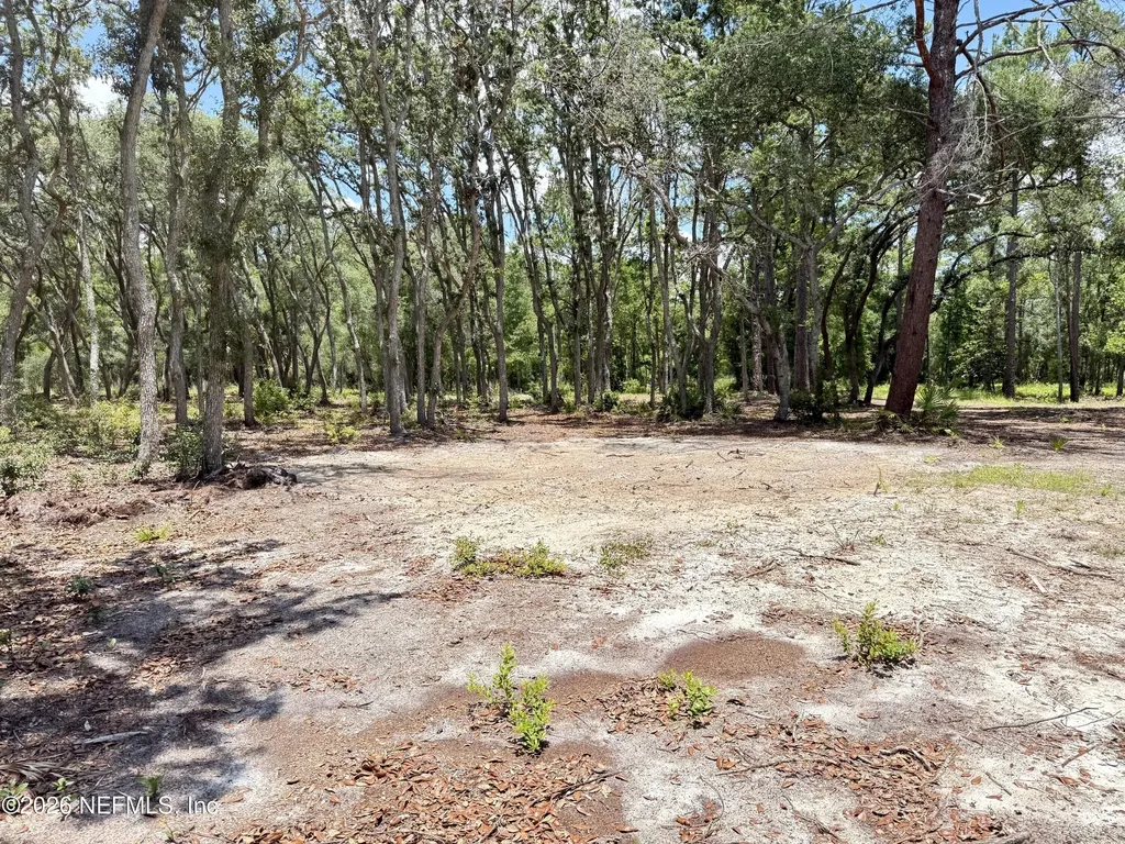 438 Chamberlain Road Satsuma FL 32189