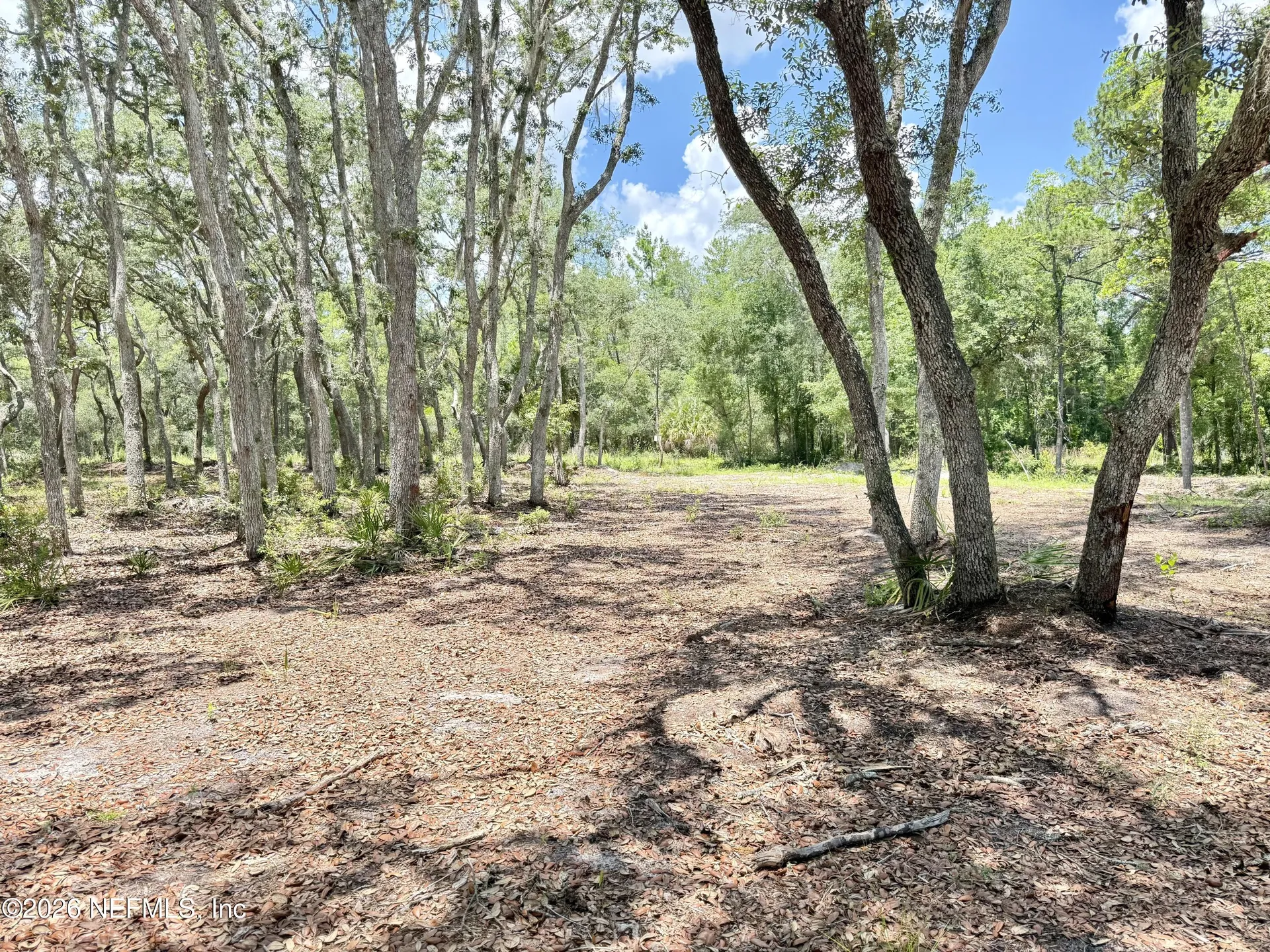 438 Chamberlain Road Satsuma FL 32189