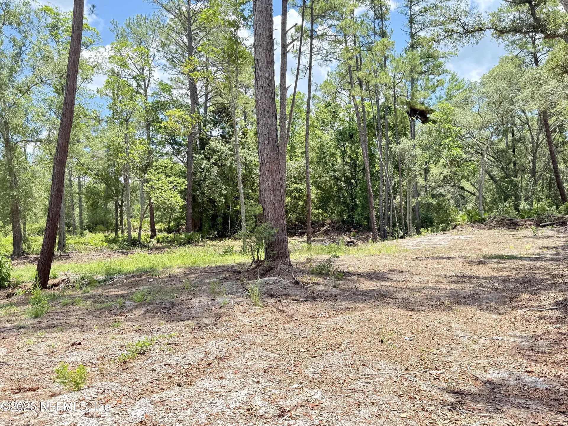 438 Chamberlain Road Satsuma FL 32189