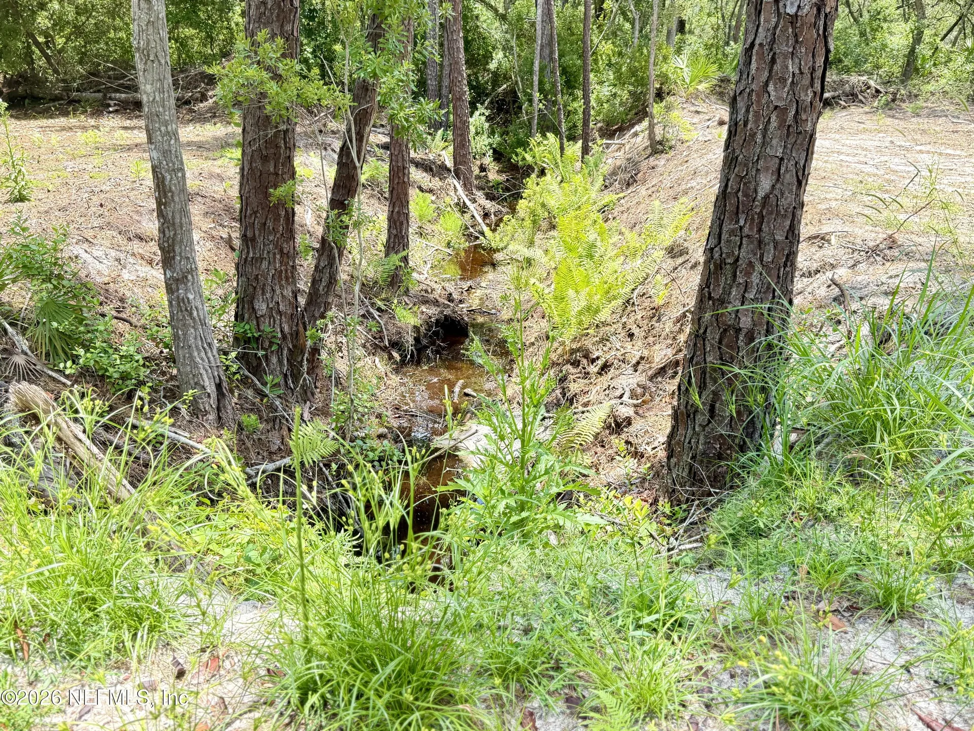 438 Chamberlain Road Satsuma FL 32189