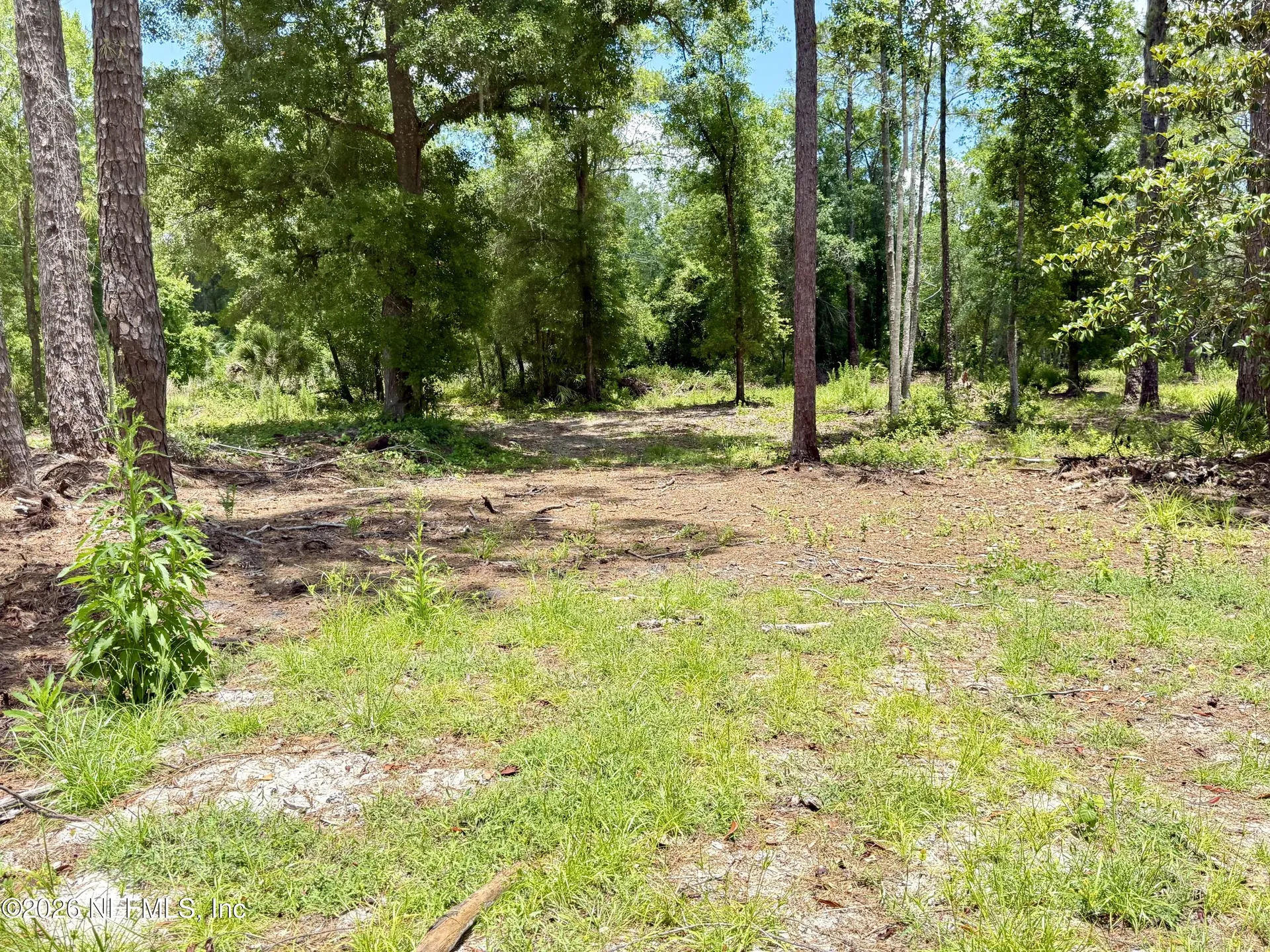 438 Chamberlain Road Satsuma FL 32189