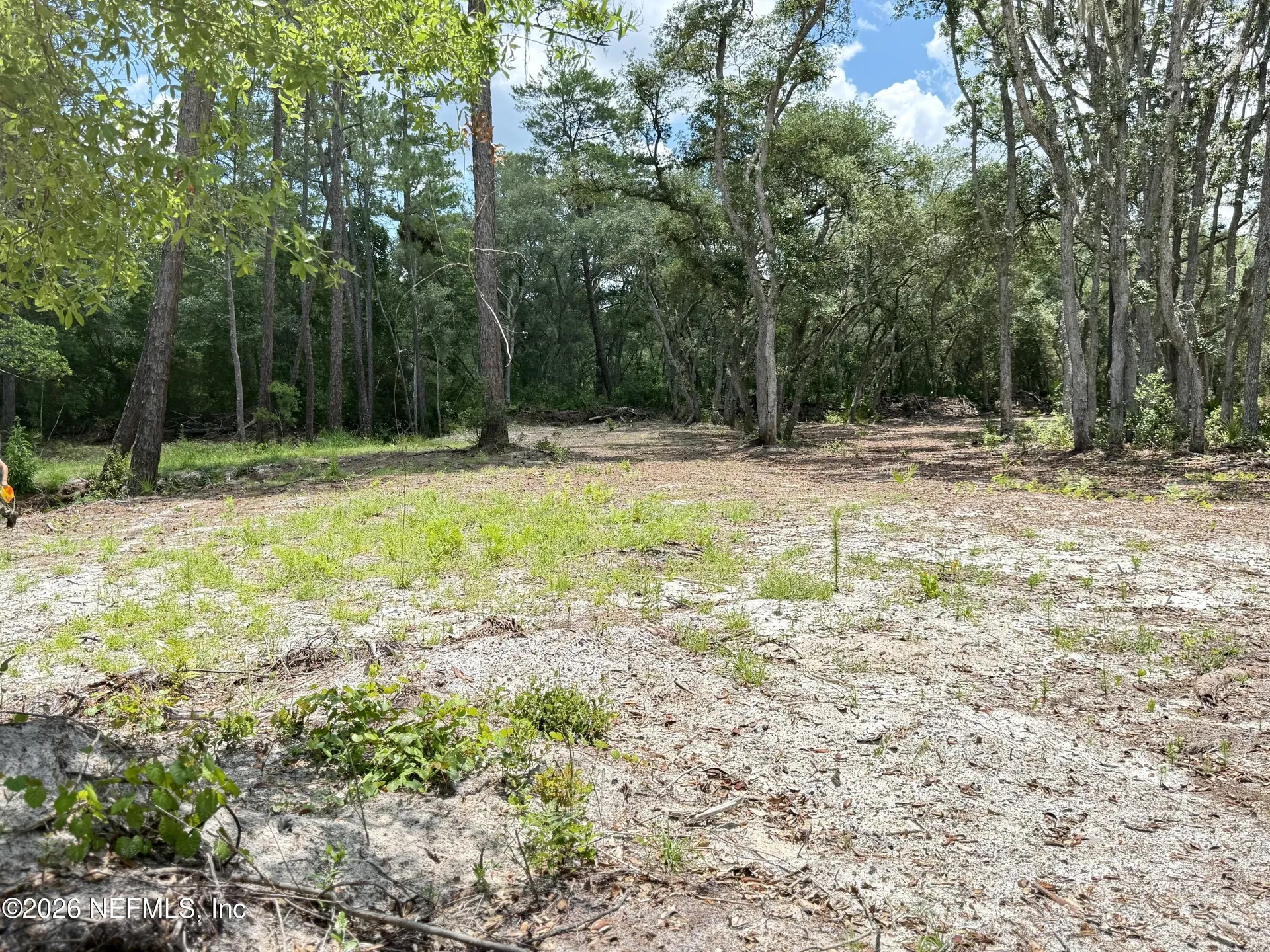 438 Chamberlain Road Satsuma FL 32189
