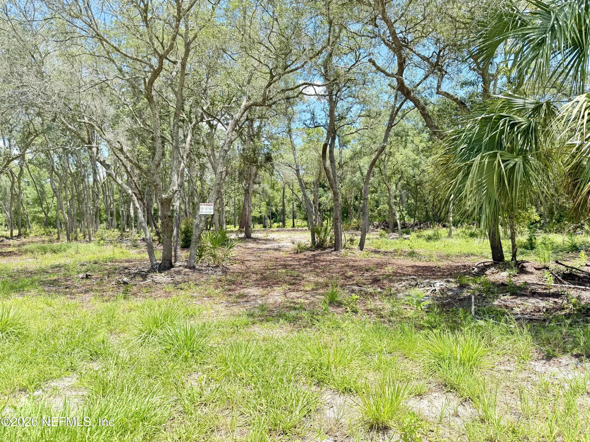 438 Chamberlain Road Satsuma FL 32189
