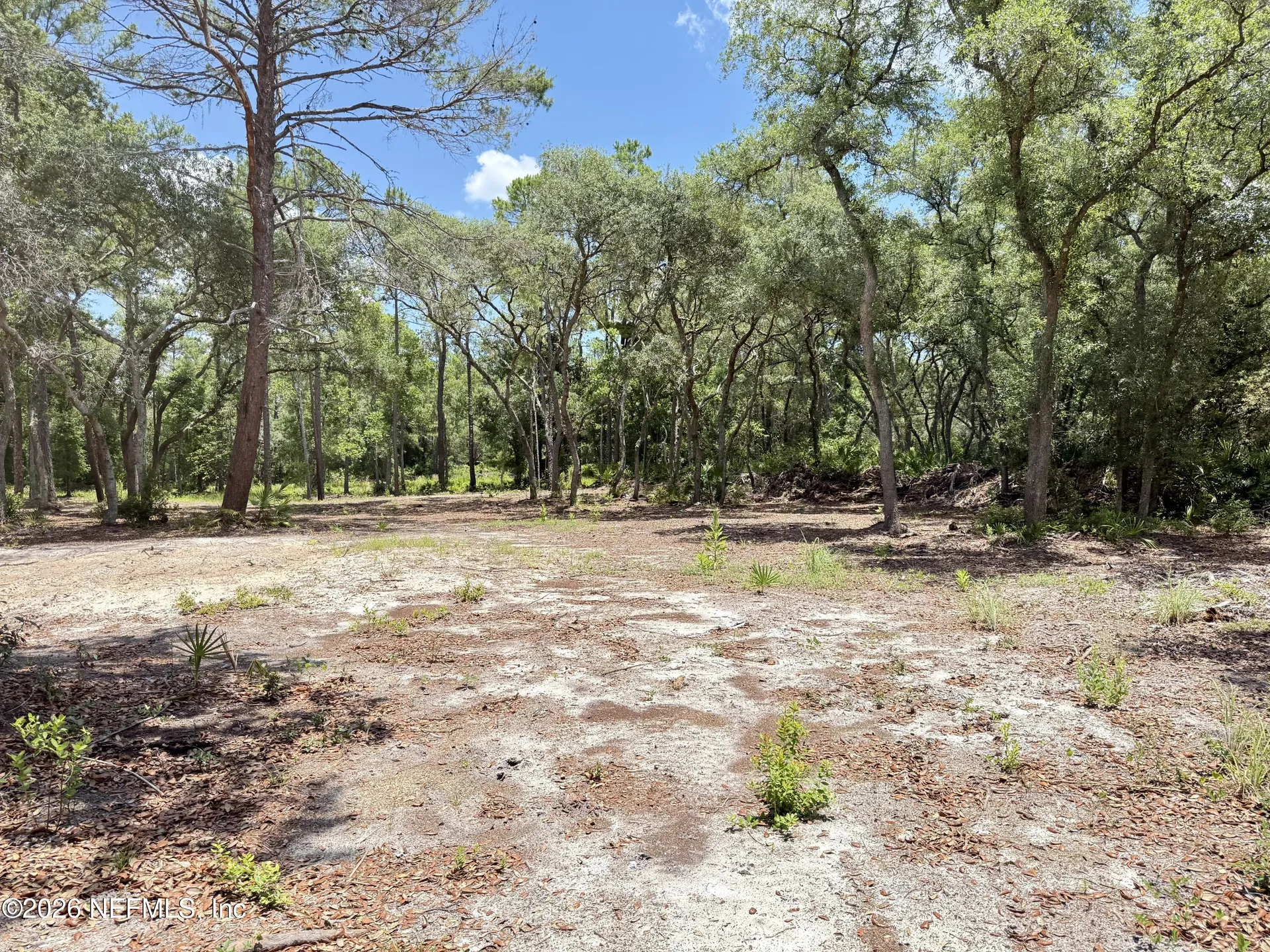 438 Chamberlain Road Satsuma FL 32189