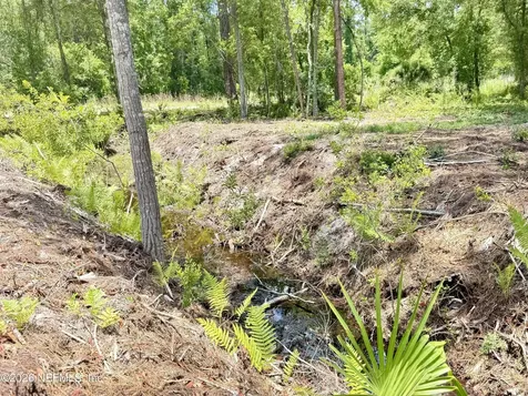438 Chamberlain Road Satsuma FL 32189