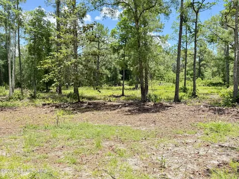 438 Chamberlain Road Satsuma FL 32189