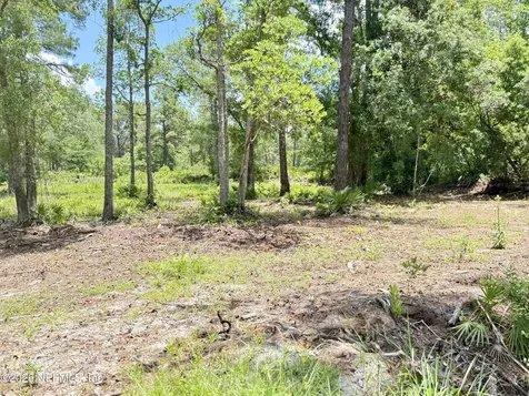 438 Chamberlain Road Satsuma FL 32189