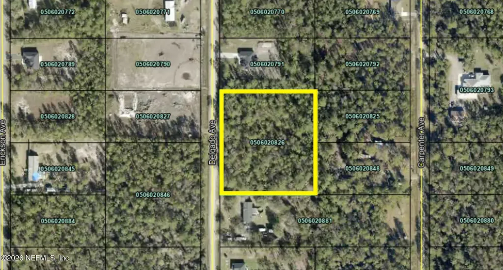 10270 Delgado Avenue Hastings FL 32145