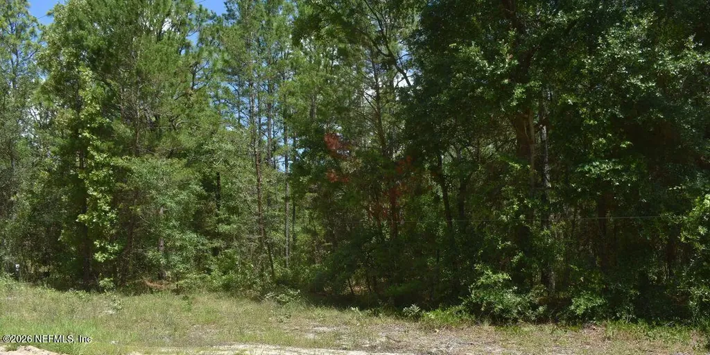 7223 Duke Street Keystone Heights FL 32656