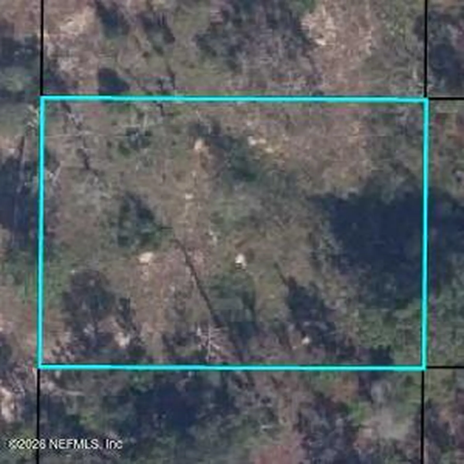 7223 Duke Street Keystone Heights FL 32656