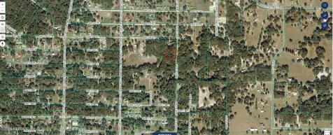 0 SW 132nd Avenue Dunnellon FL 34432
