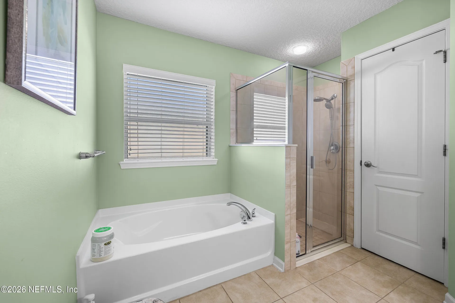 10905 Stanton Hills Drive E Jacksonville FL 32222