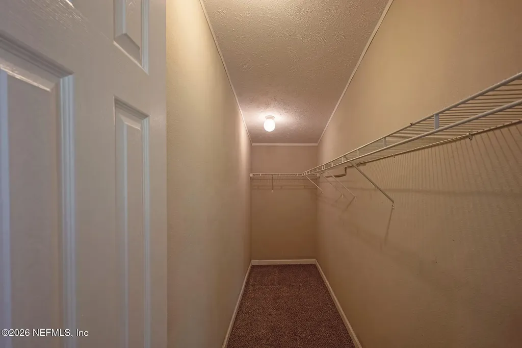 4653 Calendula Avenue Middleburg FL 32068