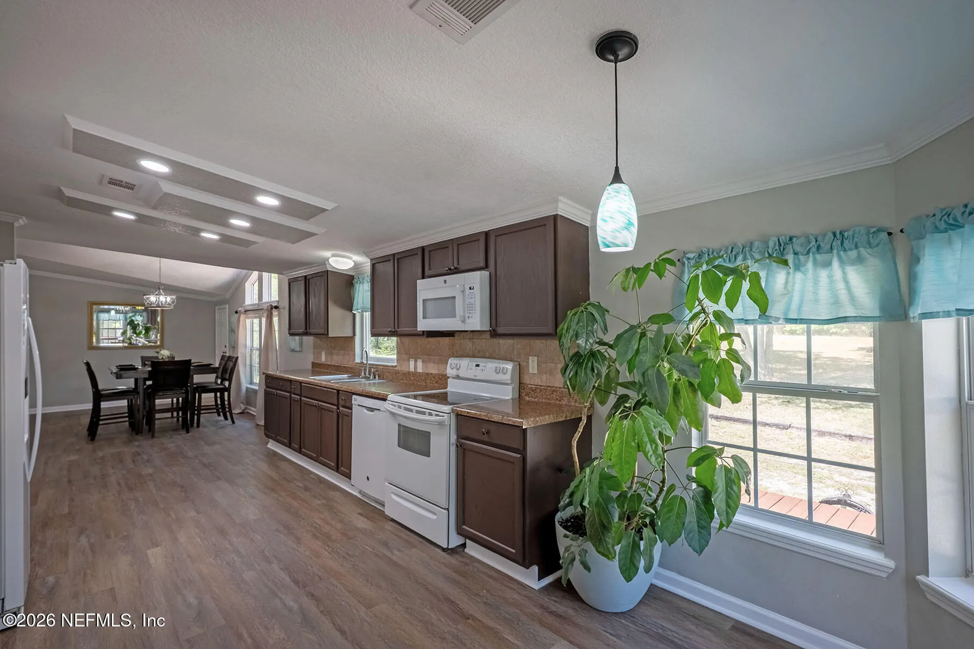 4653 Calendula Avenue Middleburg FL 32068