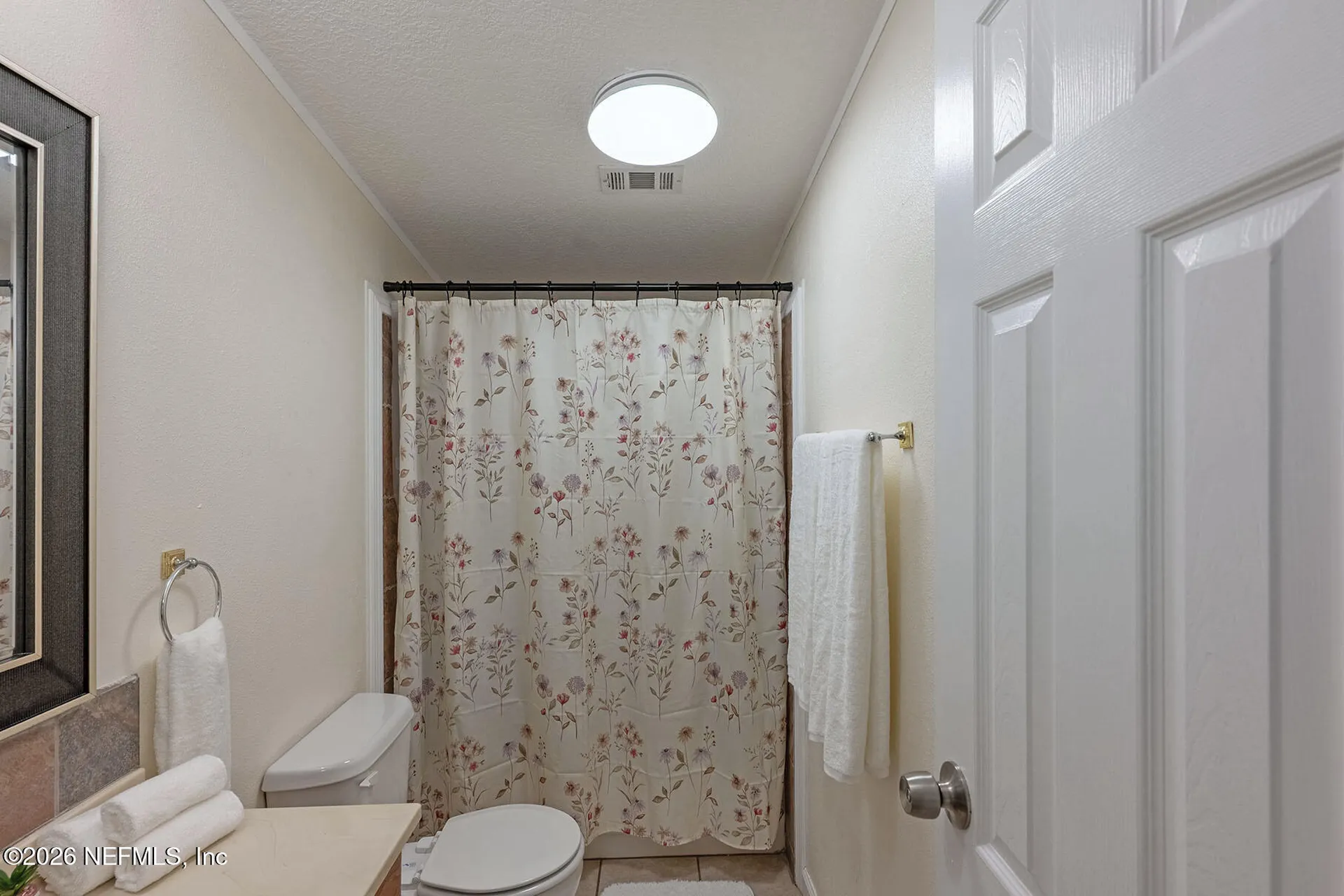 4653 Calendula Avenue Middleburg FL 32068