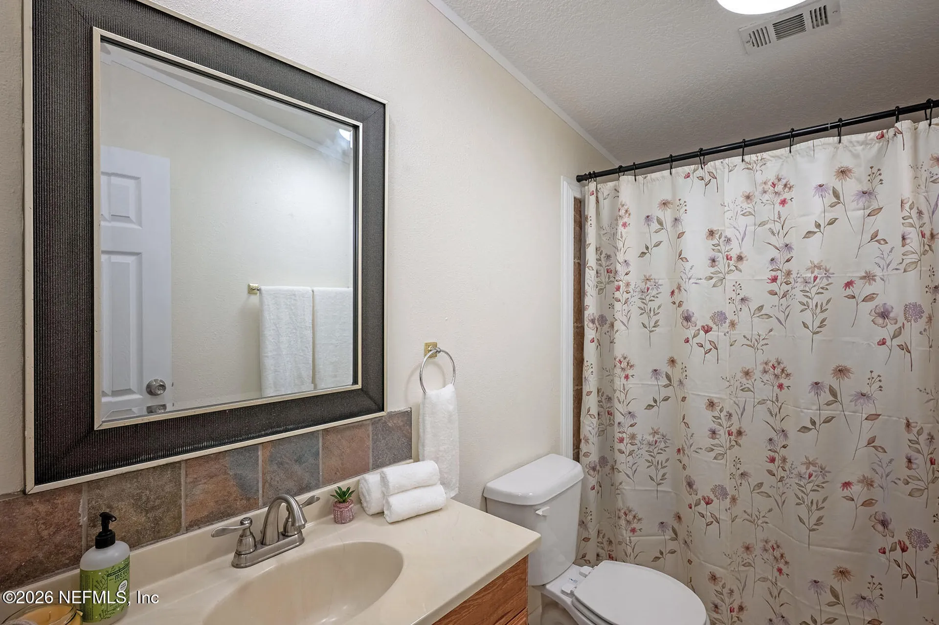 4653 Calendula Avenue Middleburg FL 32068