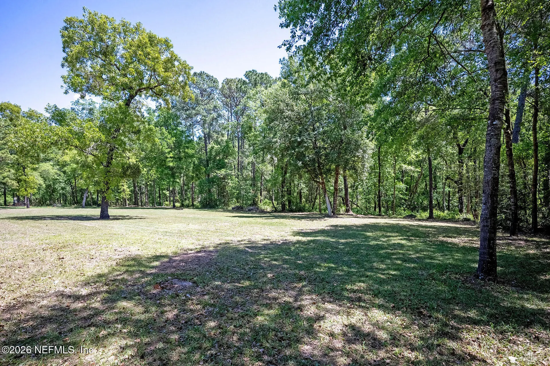 4653 Calendula Avenue Middleburg FL 32068