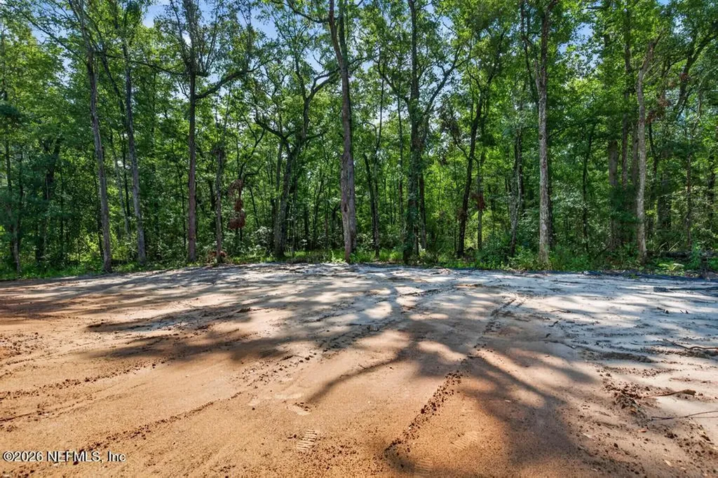 4819 Joan Avenue Middleburg FL 32068