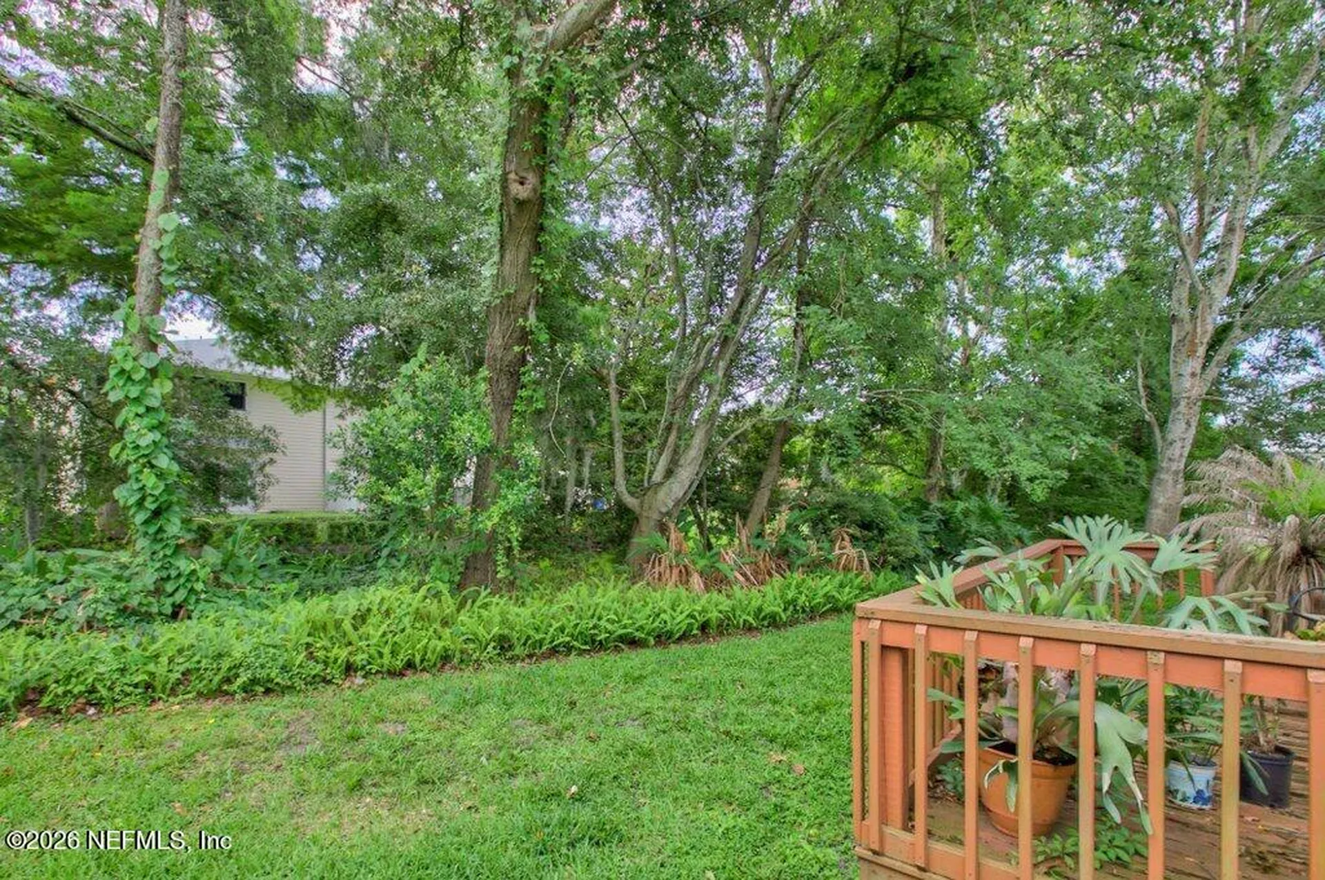 12024 Arbor Lake Drive Jacksonville FL 32225