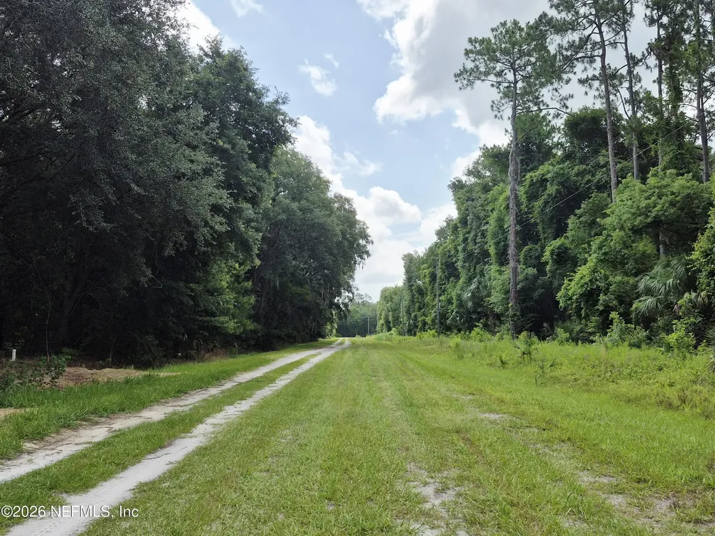 917 Paradise Boulevard Georgetown FL 32139