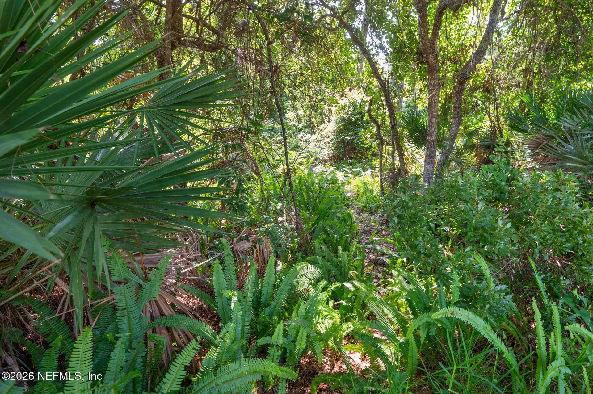 132 Bottlebrush Drive St. Augustine FL 32086