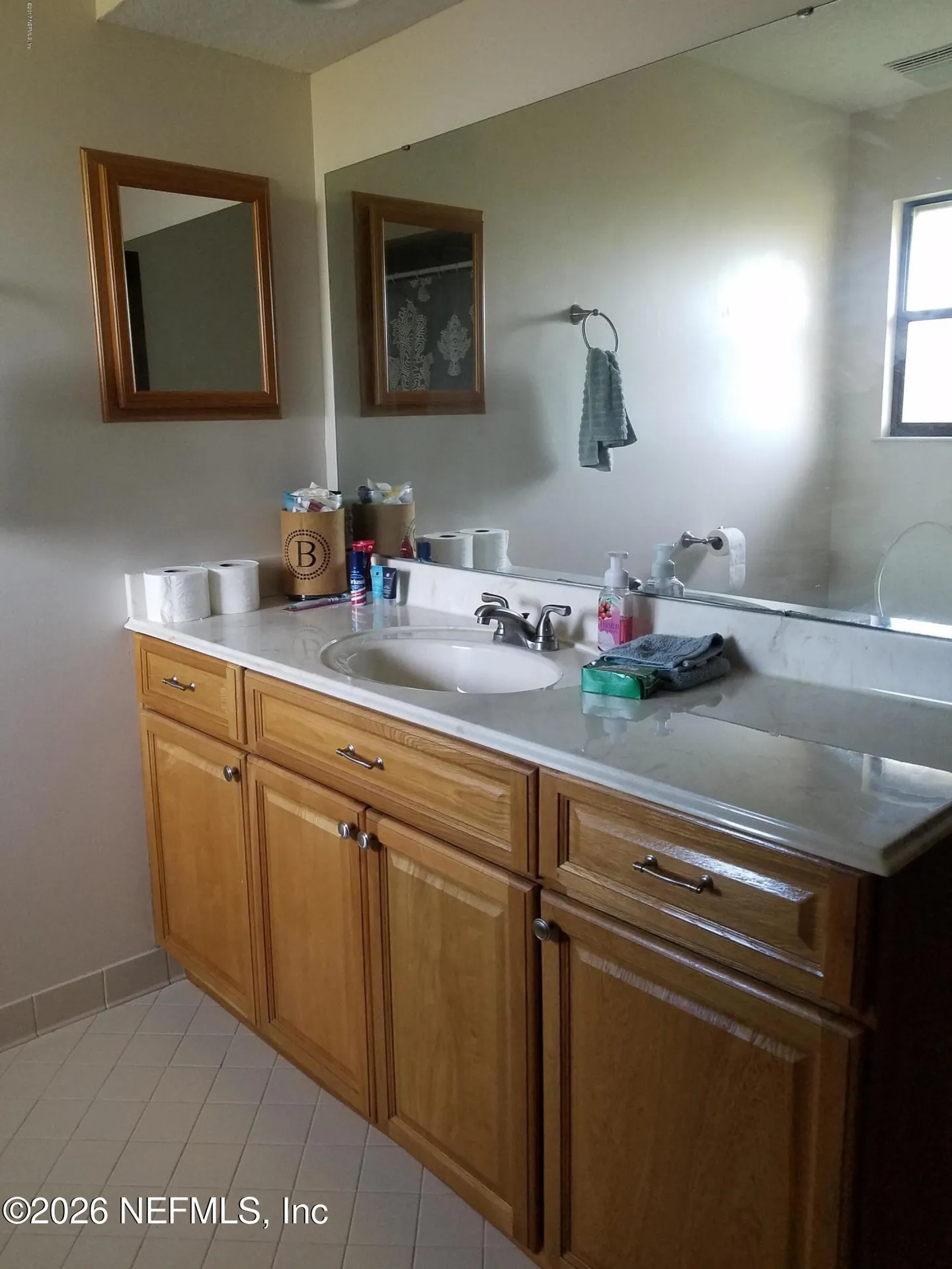 2384 Stonebridge Drive Orange Park FL 32065