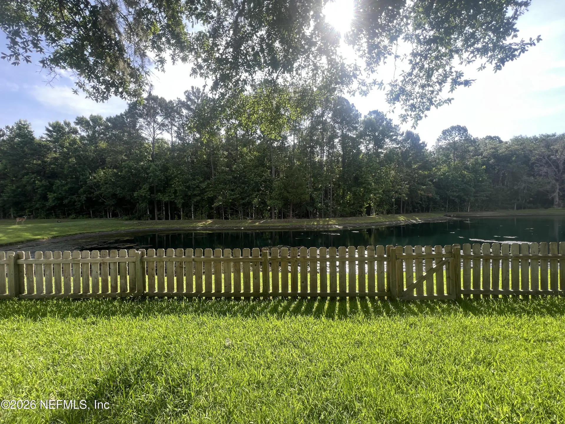 171 Dover Bluff Drive Orange Park FL 32073