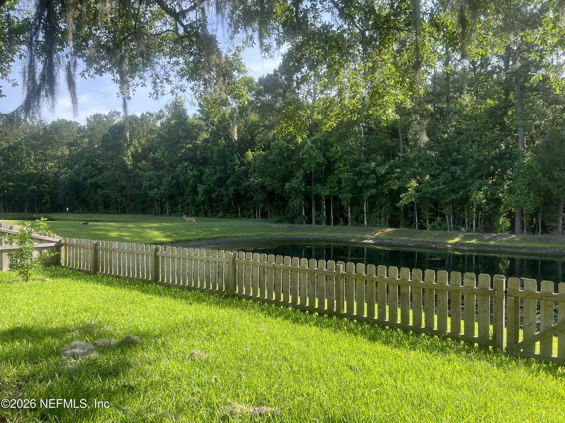 171 Dover Bluff Drive Orange Park FL 32073