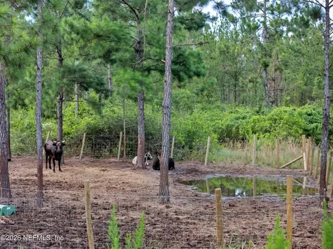 6195 River Road Hilliard FL 32046