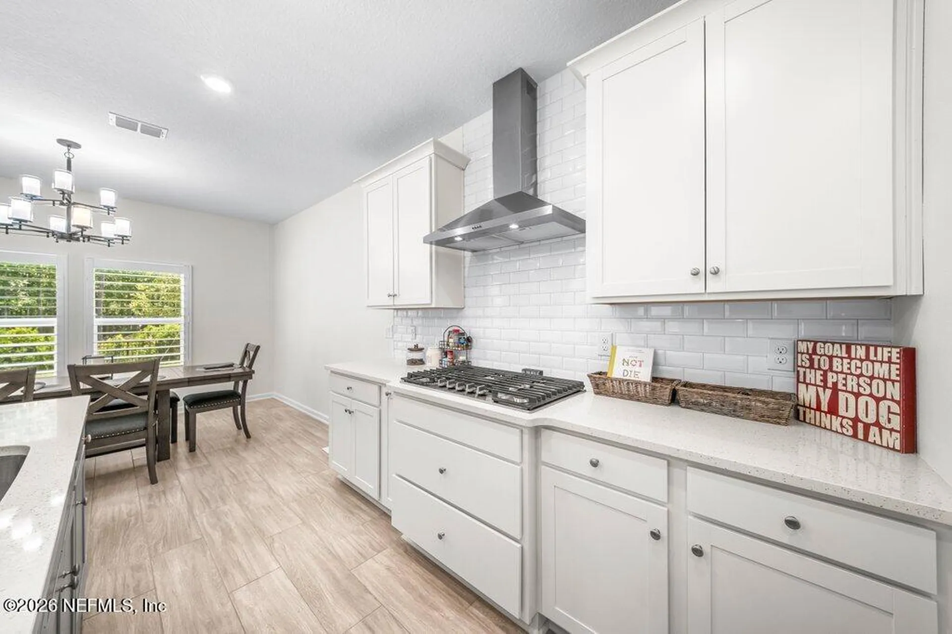 165 Bluegrass Way St. Augustine FL 32092