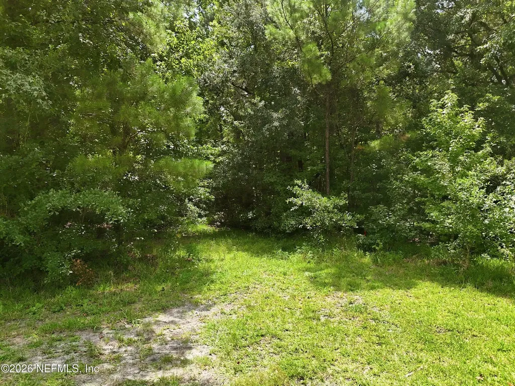 143 Pine Tree Road Palatka FL 32177