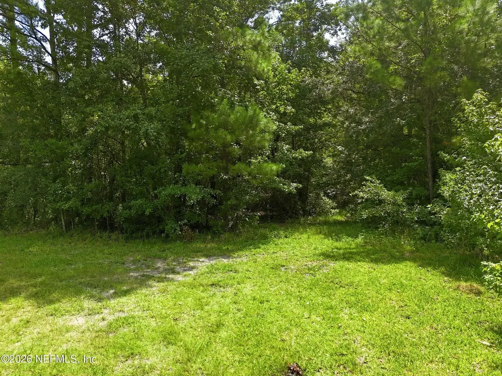 143 Pine Tree Road Palatka FL 32177