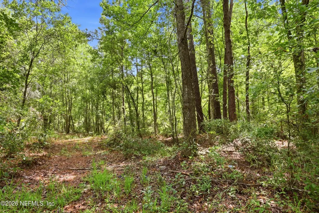 143 Pine Tree Road Palatka FL 32177