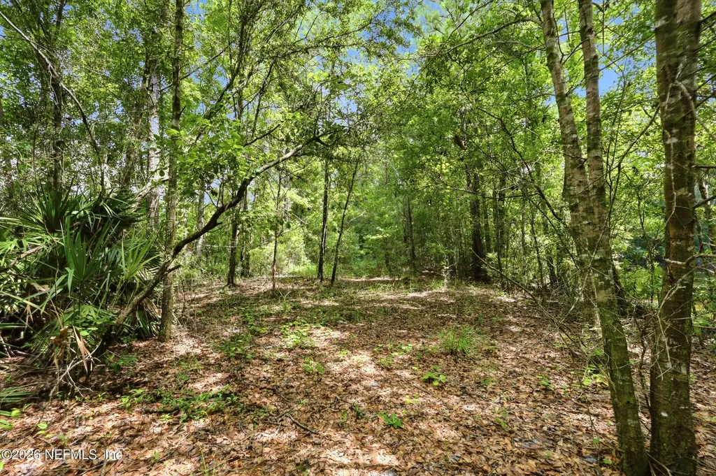 143 Pine Tree Road Palatka FL 32177
