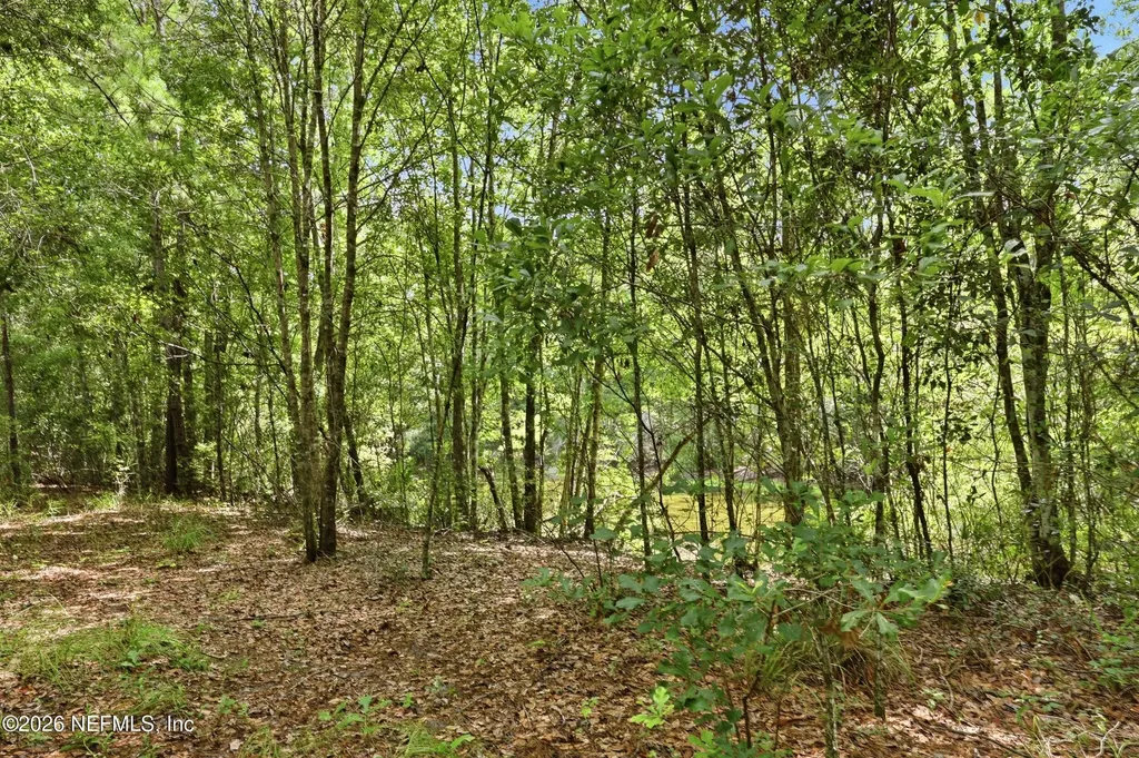 143 Pine Tree Road Palatka FL 32177