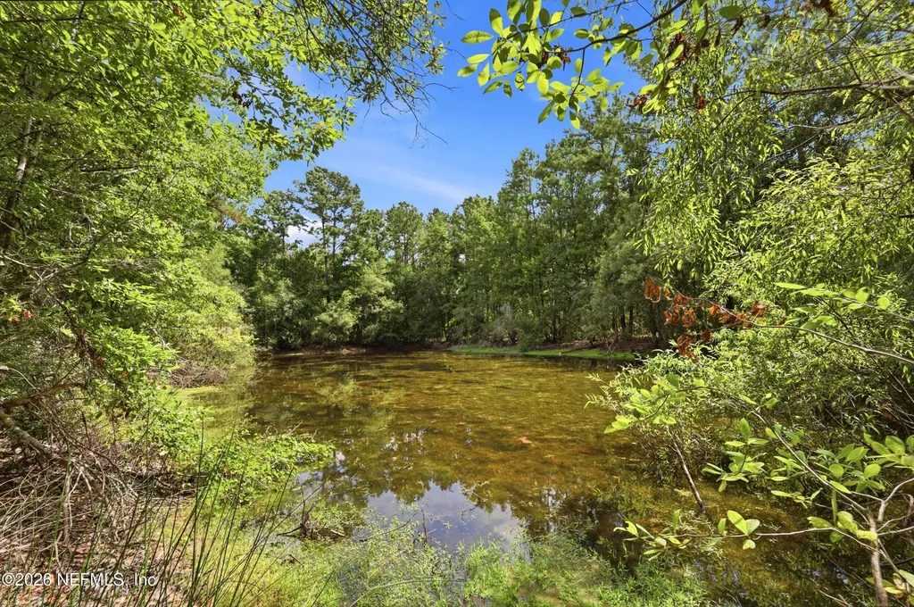 143 Pine Tree Road Palatka FL 32177