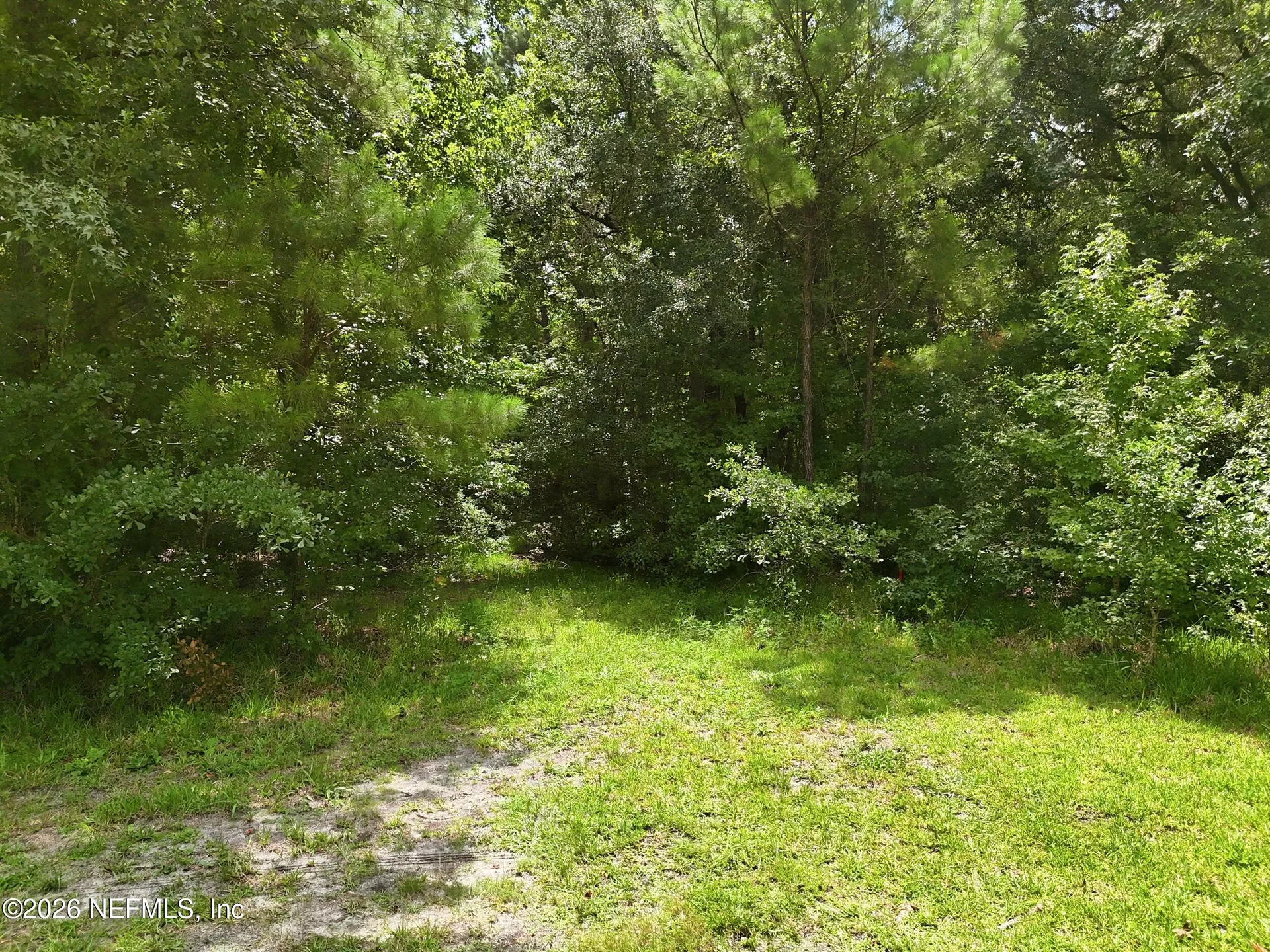 143 Pine Tree Road Palatka FL 32177