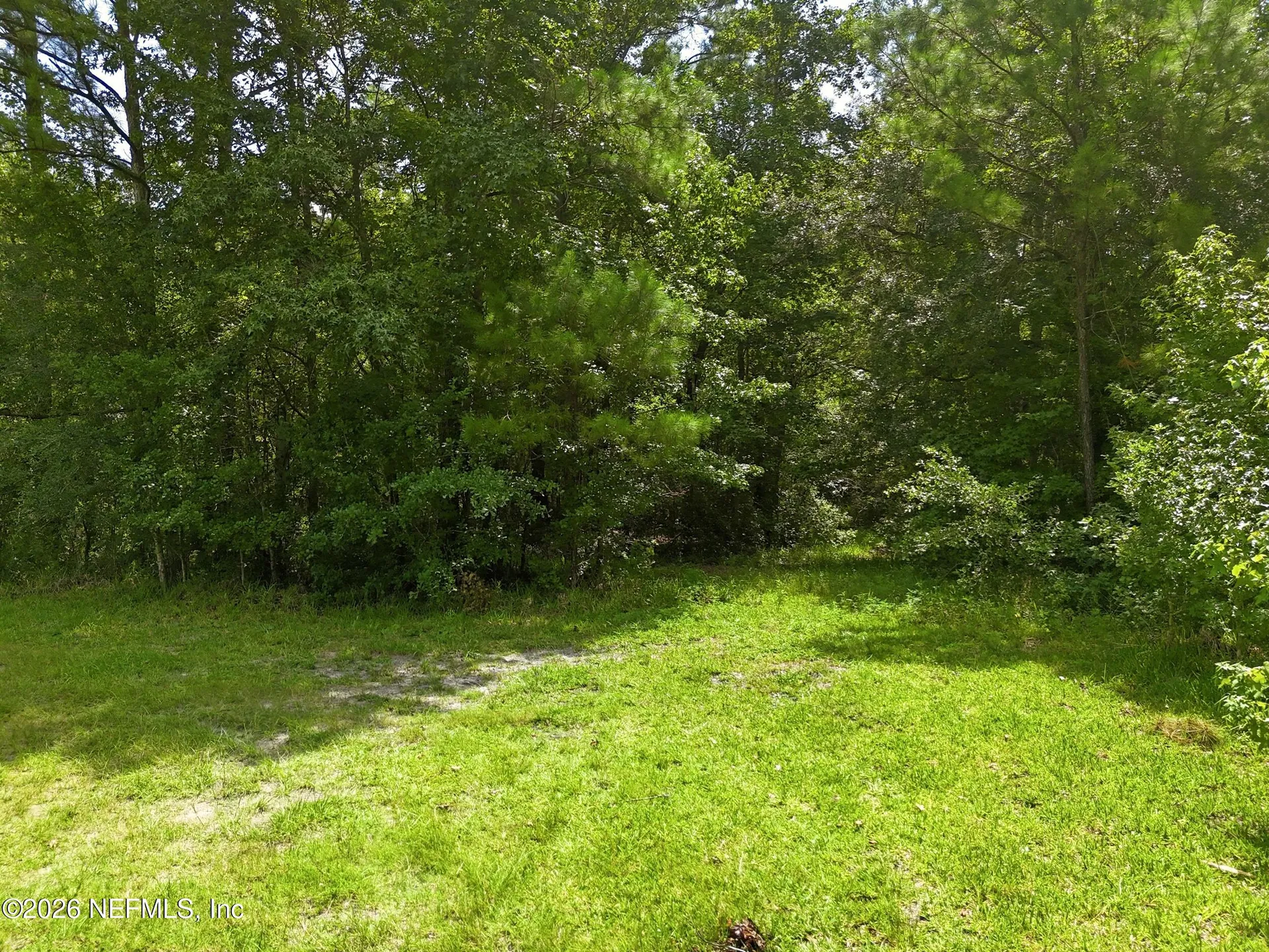 143 Pine Tree Road Palatka FL 32177