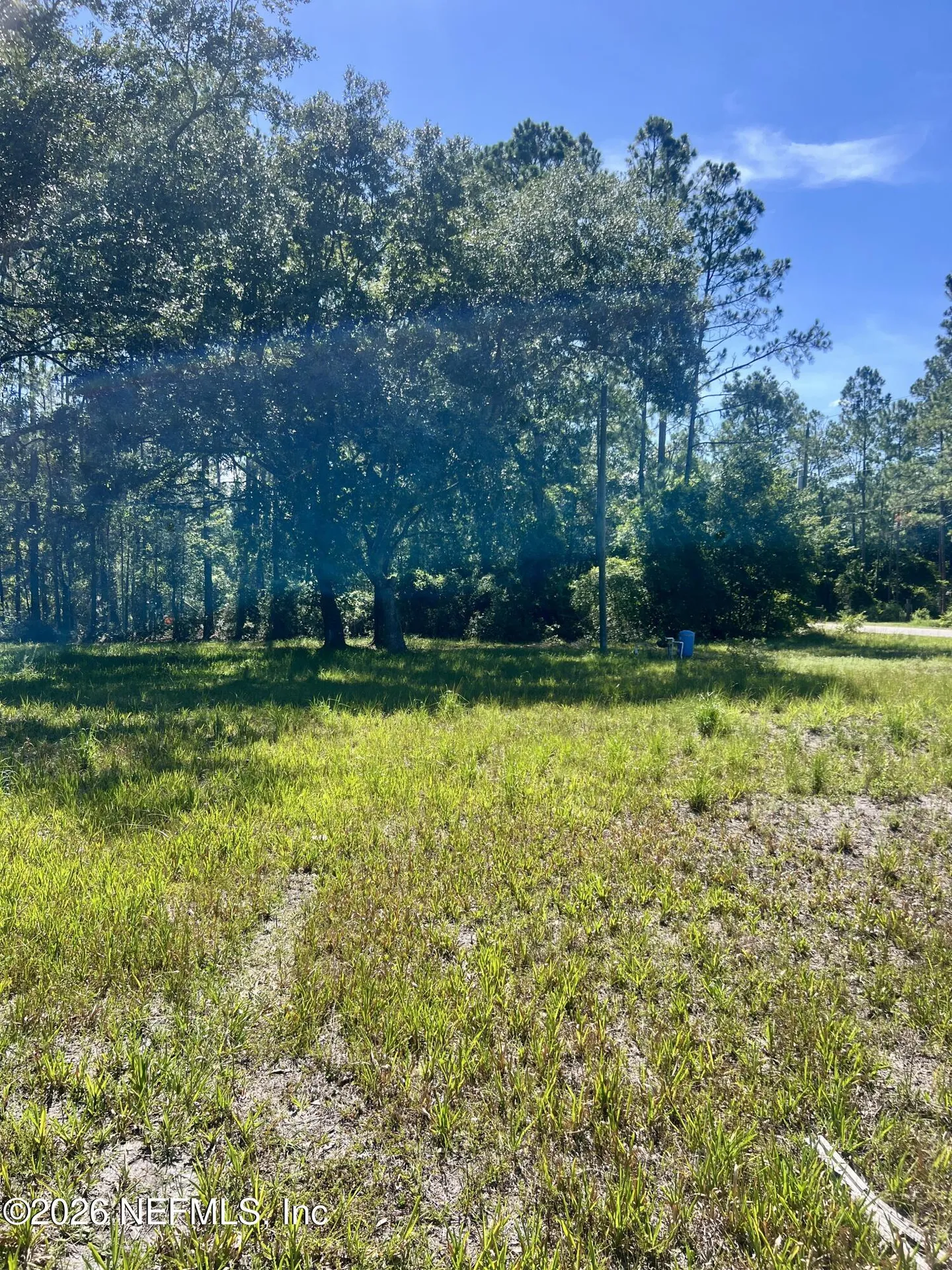 4445 Melanie Street Hastings FL 32145