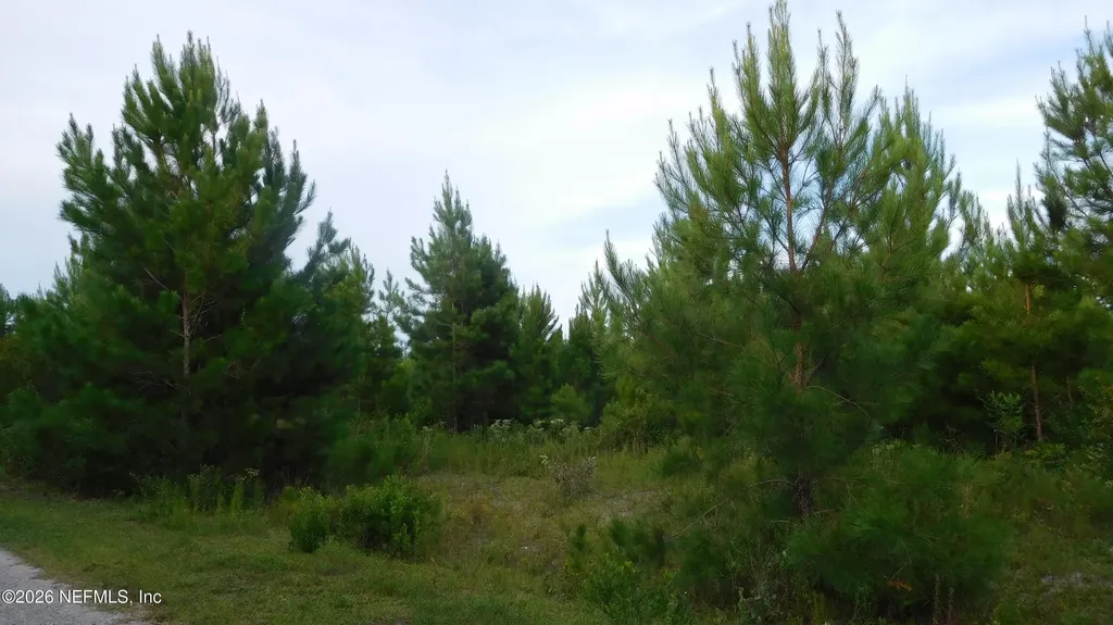 56585 Davis Road Callahan FL 32011