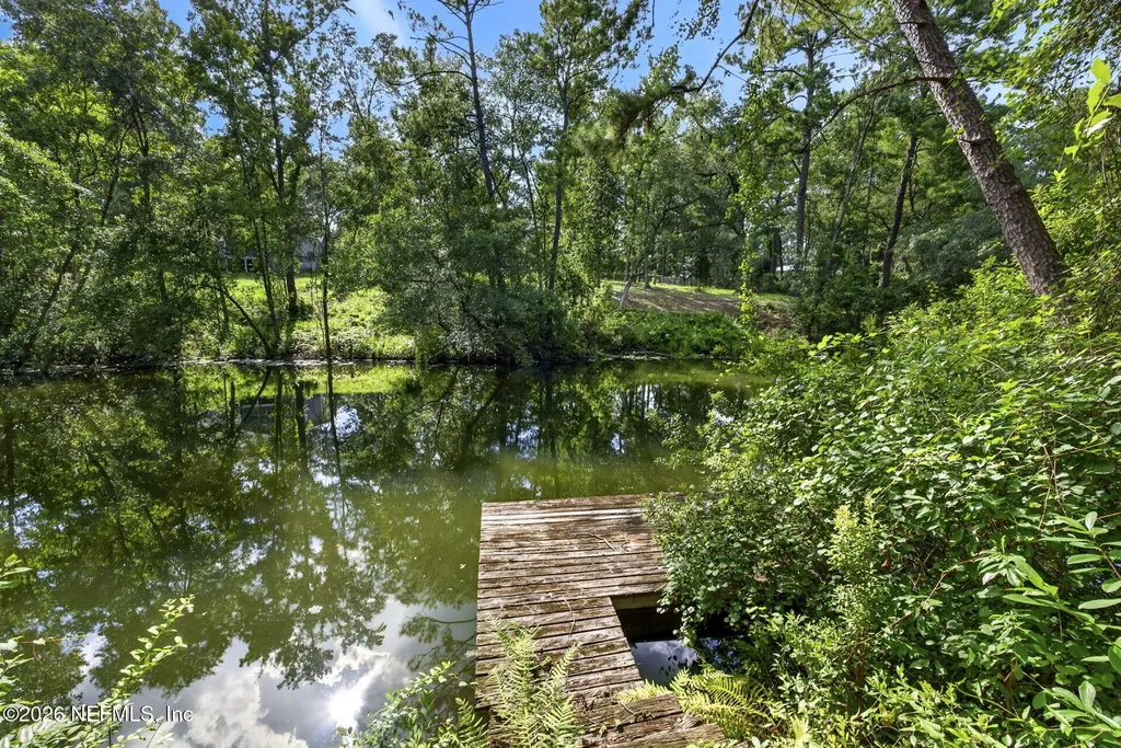 1305 Lake Asbury Drive Green Cove Springs FL 32043
