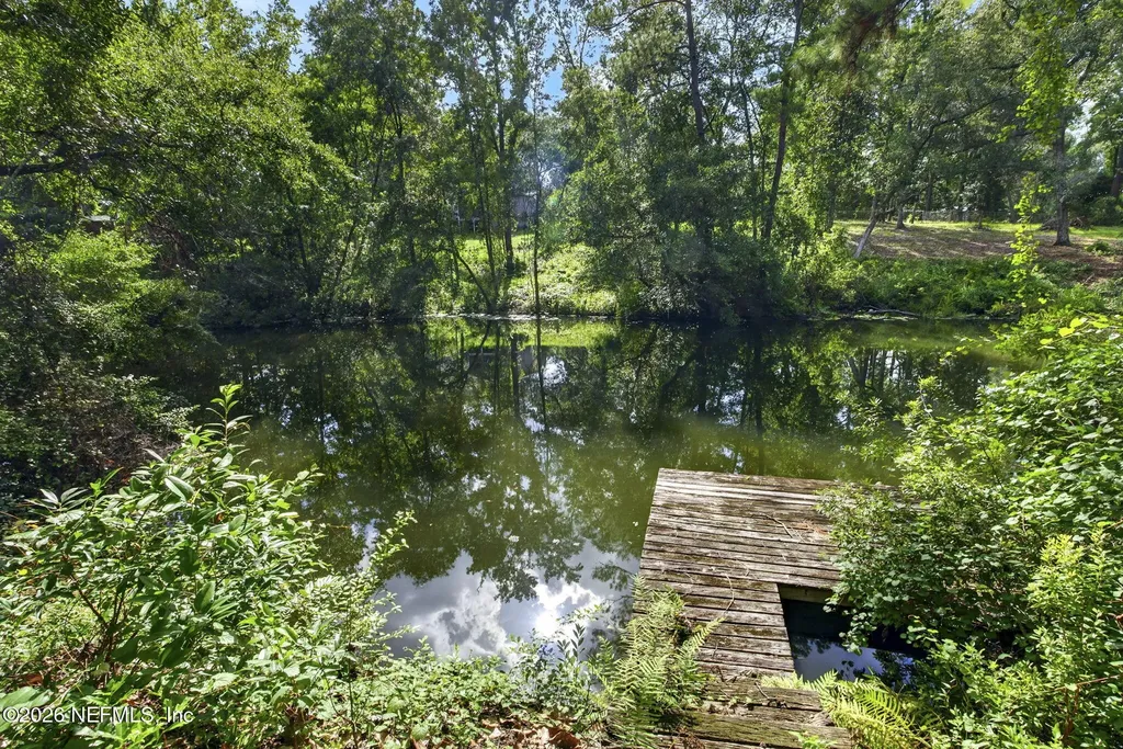 1305 Lake Asbury Drive Green Cove Springs FL 32043