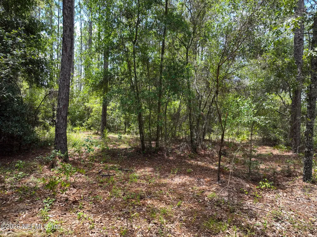 5630 Lassen Street Keystone Heights FL 32656