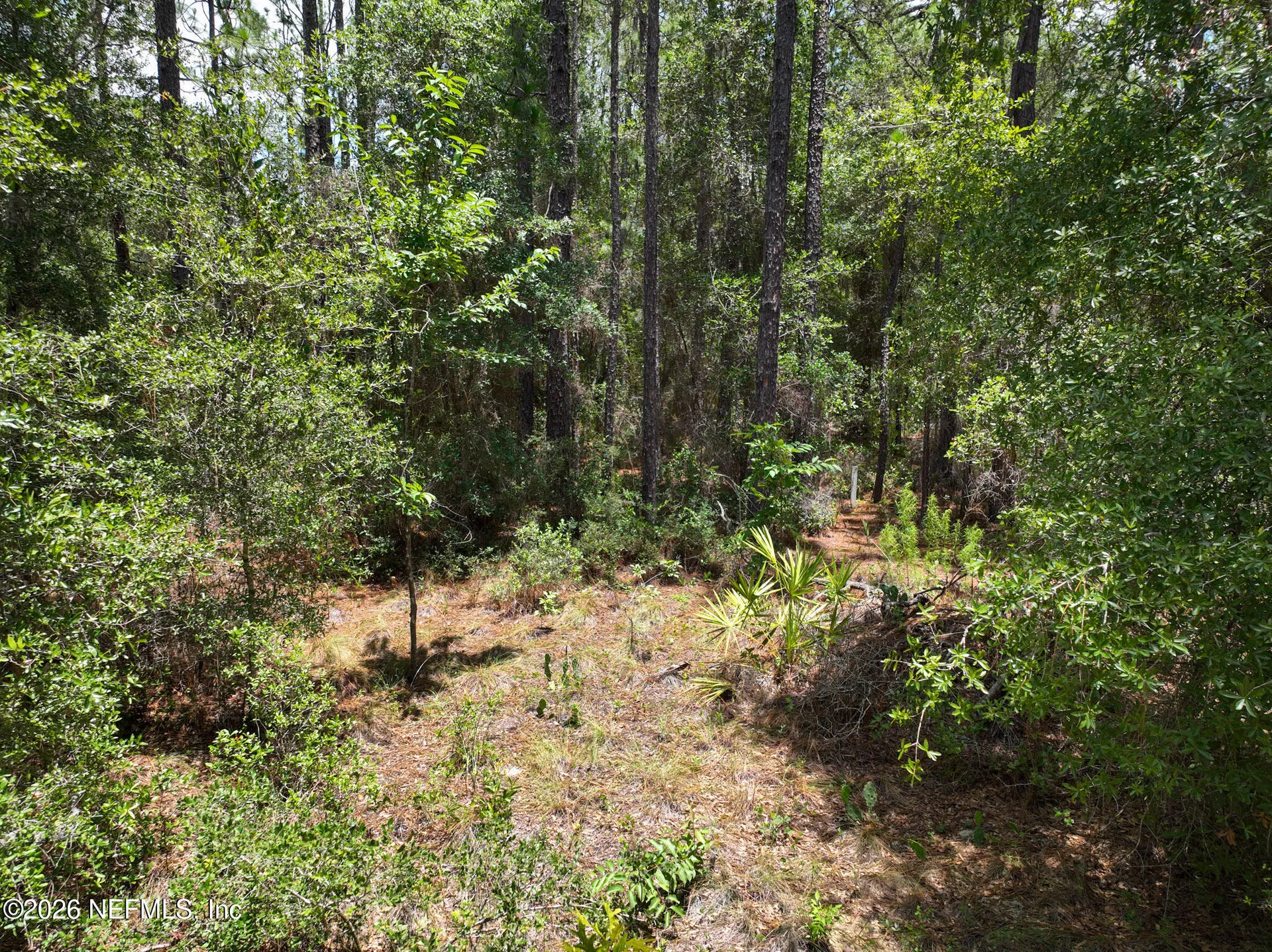 5630 Lassen Street Keystone Heights FL 32656