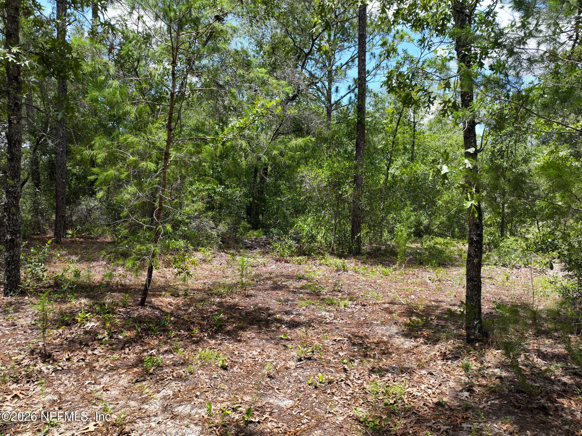 5630 Lassen Street Keystone Heights FL 32656