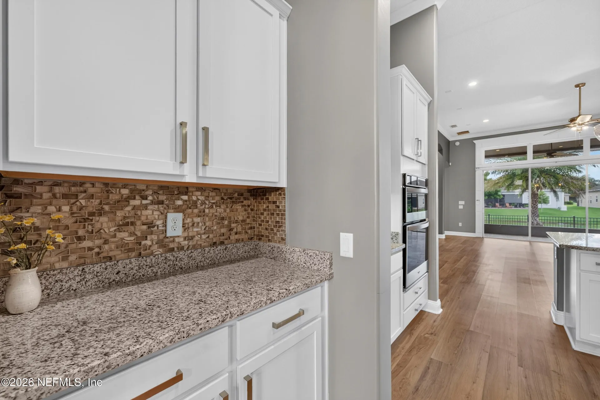 163 Vivian James Drive St. Augustine FL 32092
