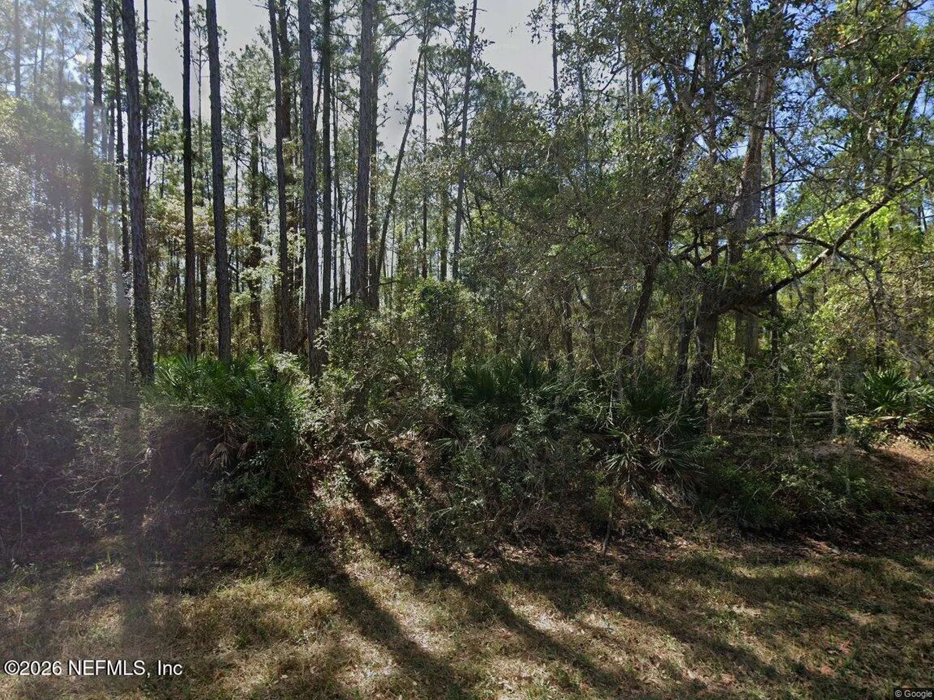 213 Terri Ave Avenue Georgetown FL 32139